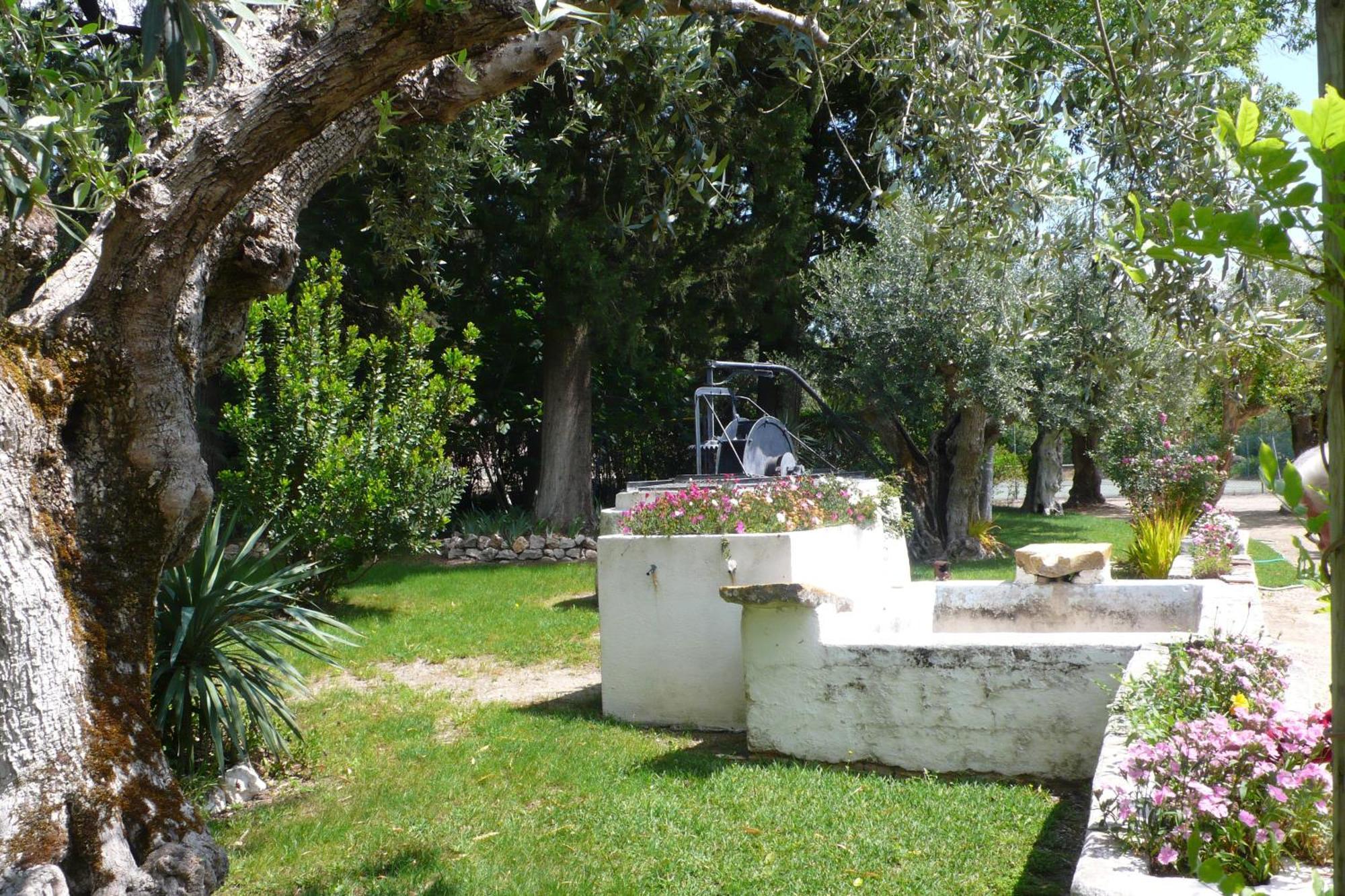 منزل الضيف تومار  في Casa Da Avo Genoveva المظهر الخارجي الصورة